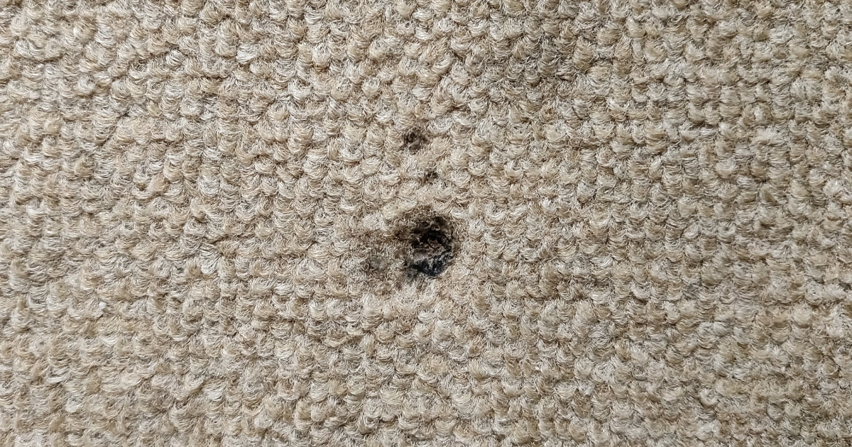 喫煙による借主の過失でタバコに焦がされたカーペット