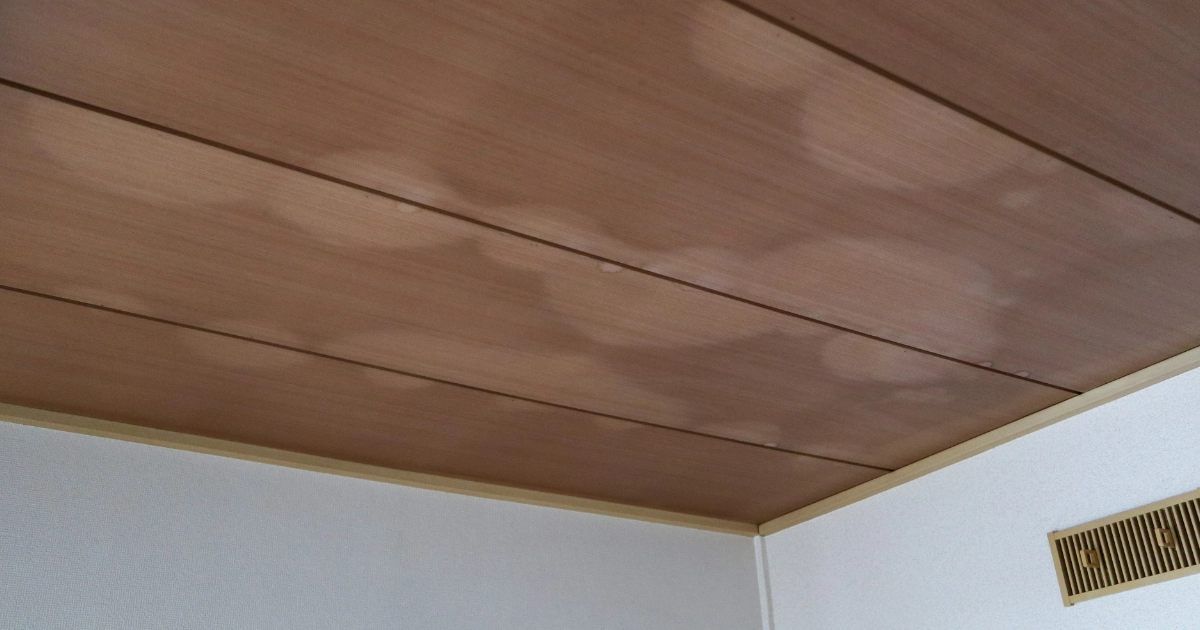 賃貸物件の天井に発生したカビのシミと雨漏り跡