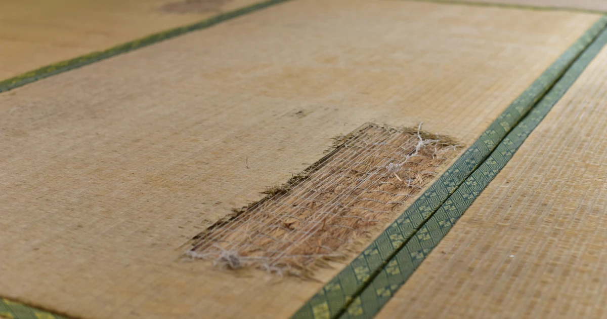 借主の過失によって傷んだ原状回復費用が発生する賃貸物件の畳