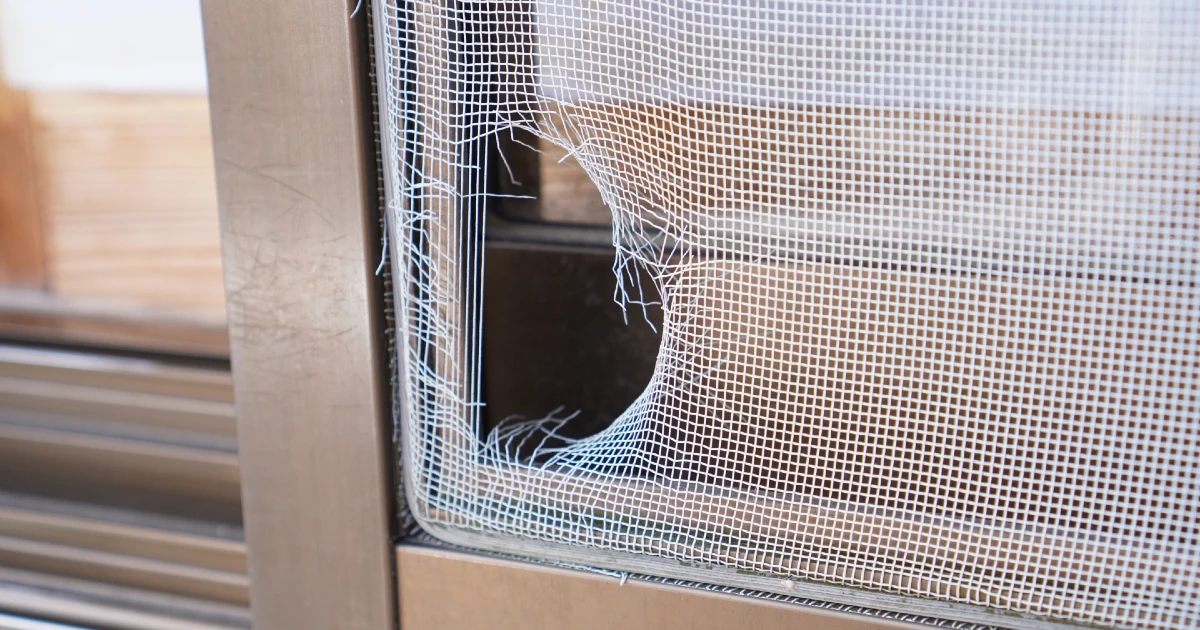 借主の過失による原状回復費用が発生する破れた賃貸物件の網戸