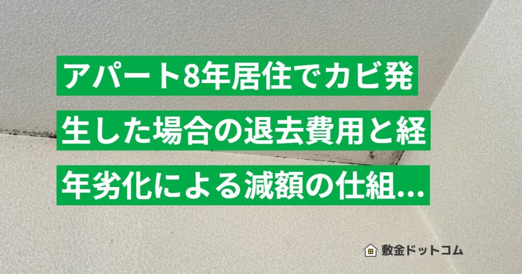 アパート8年居住でカビ発生した場合の退去費用と経年劣化による減額の仕組みを解説