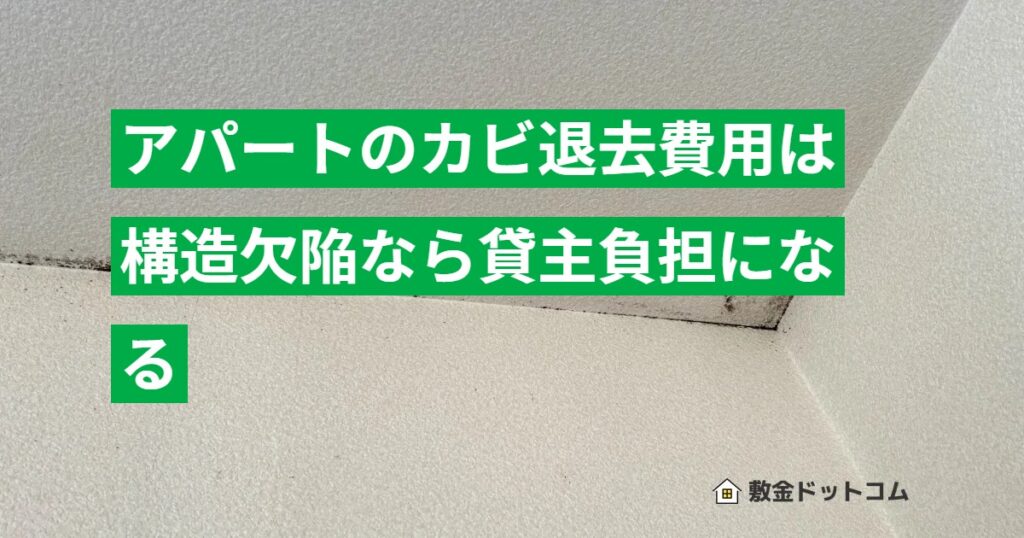 アパートのカビ退去費用は構造欠陥なら貸主負担になる