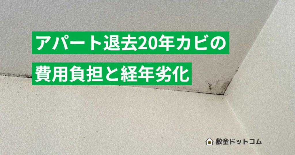 アパート退去20年カビの費用負担と経年劣化